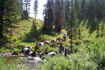 teton-packtrips-home