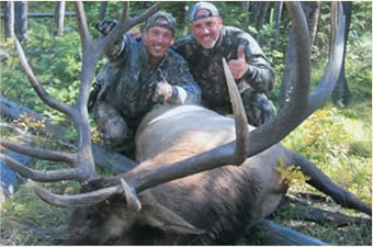 grand teton horse pack trips