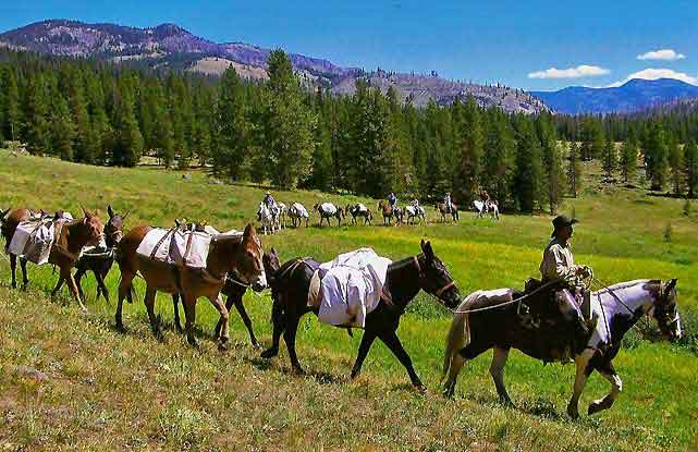 grand teton horse pack trips