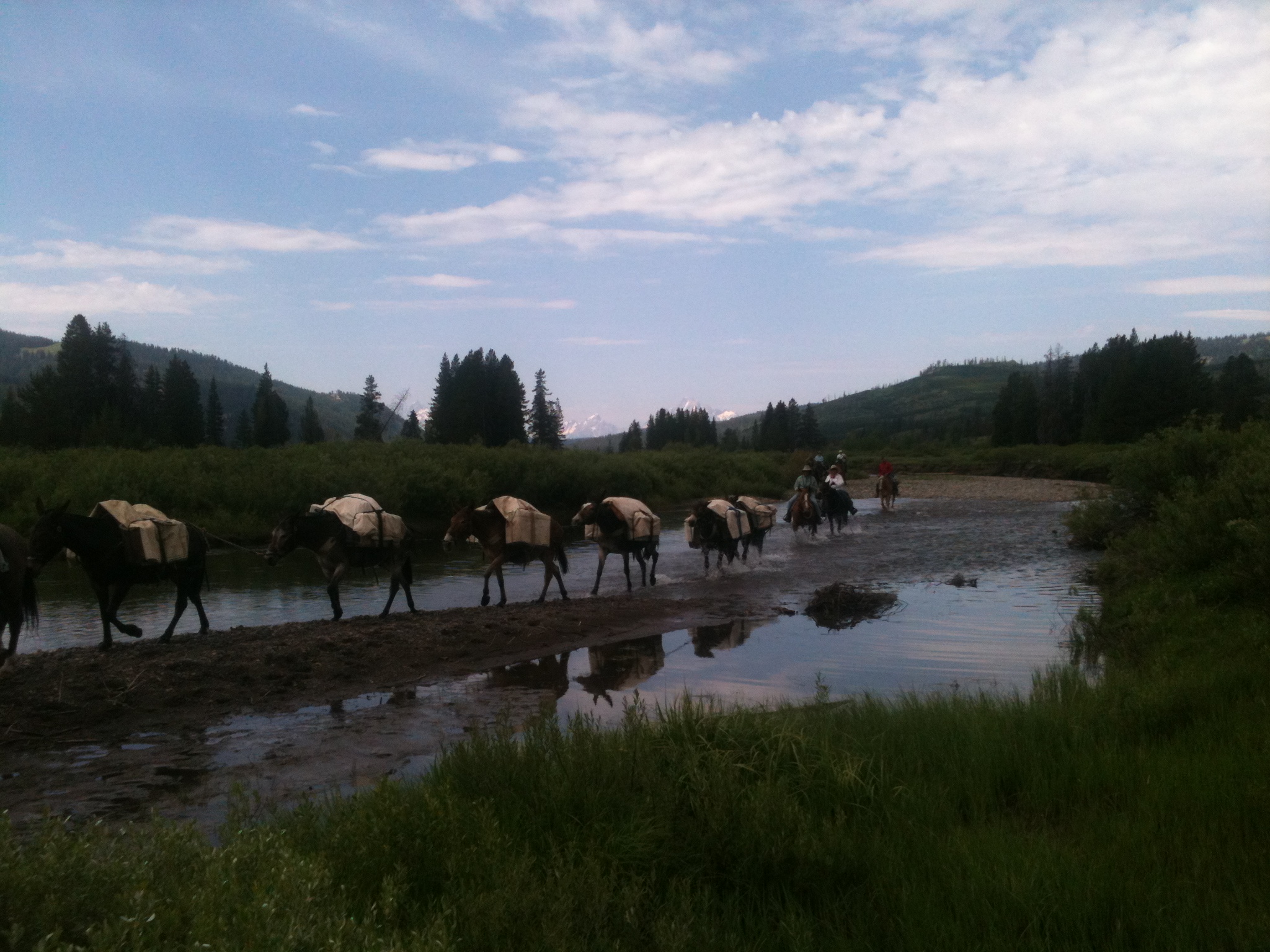 guided horse pack trips