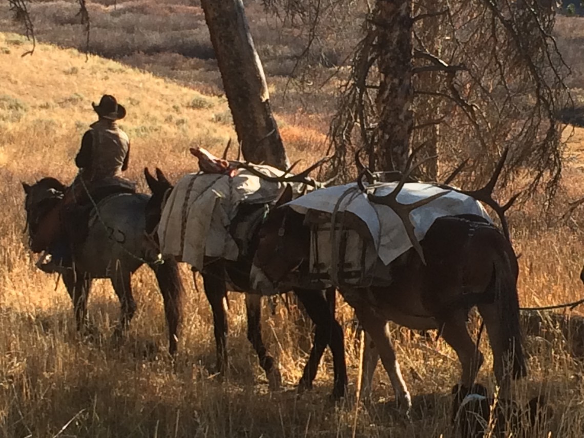 horseback hunting trips