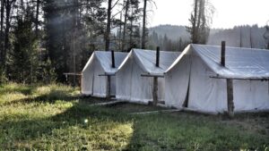 horseback pack trips wyoming