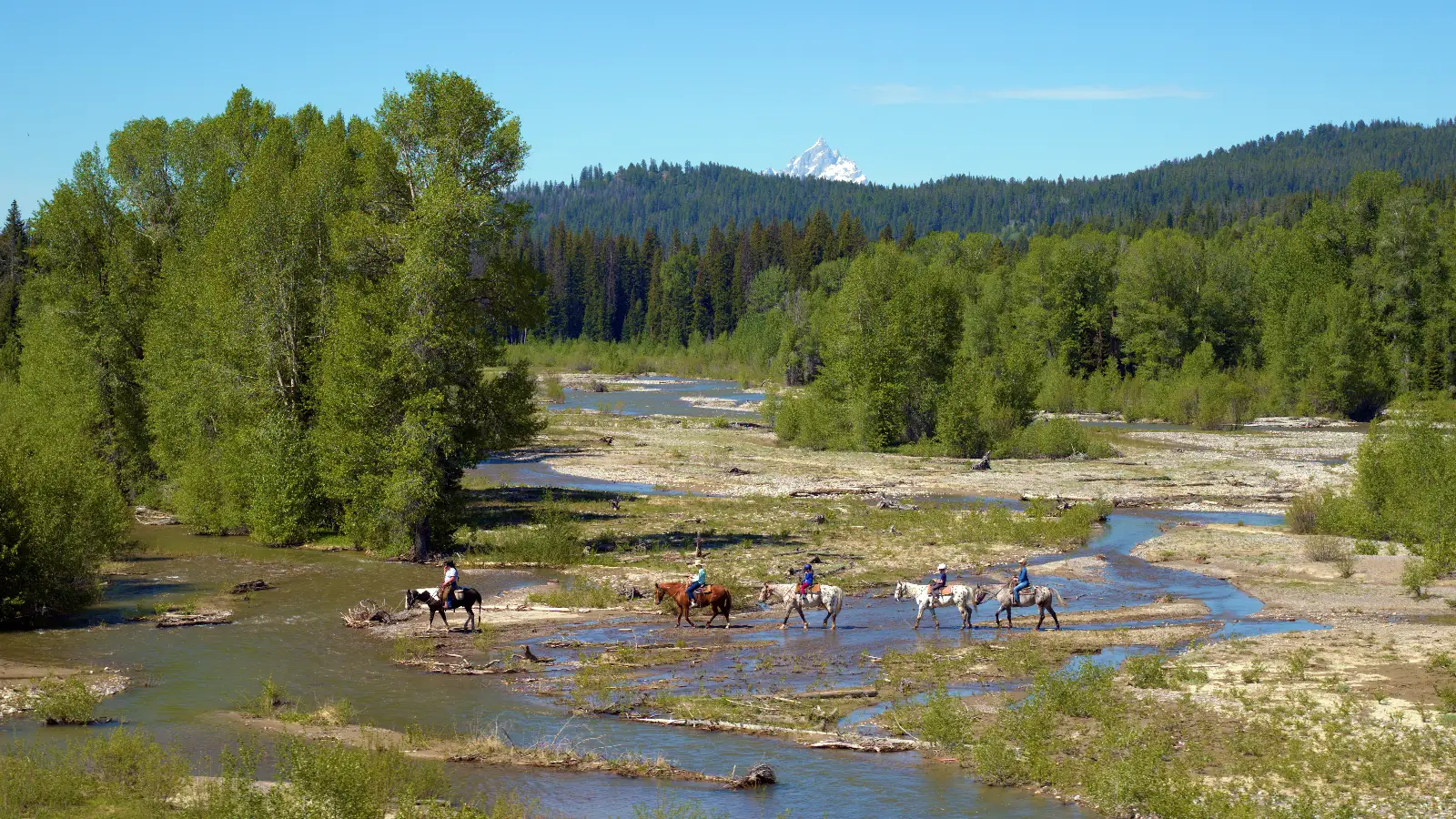 horseback adventures