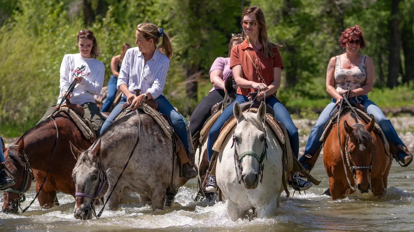 jackson hole horse